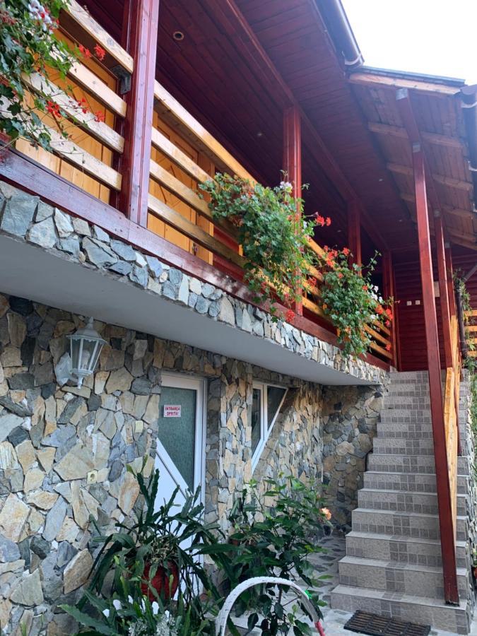 Hotel Podul Cetatii Sebesel Exterior foto
